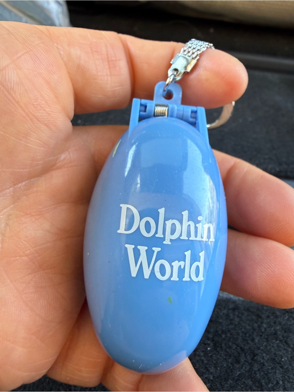 Dolphin World Blue Keychain Pocket Light by Takara